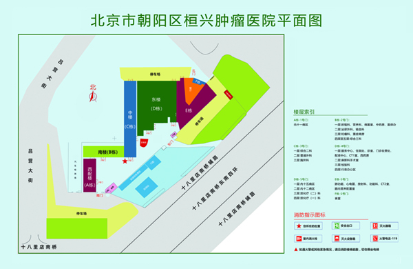 男女cb小视频有声北京市朝阳区桓兴肿瘤医院平面图